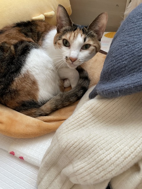 KakaoTalk_20250402_093924475_09