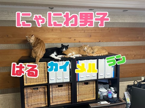 KakaoTalk_20221114_133727023