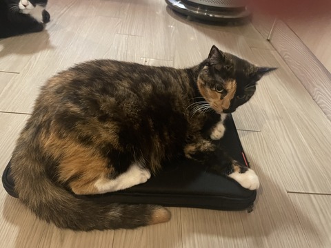 KakaoTalk_20250623_192932703_01