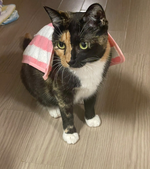 KakaoTalk_20250523_213039734