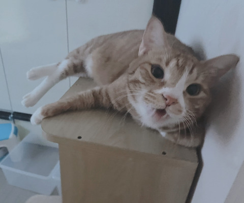 KakaoTalk_20240913_115438414