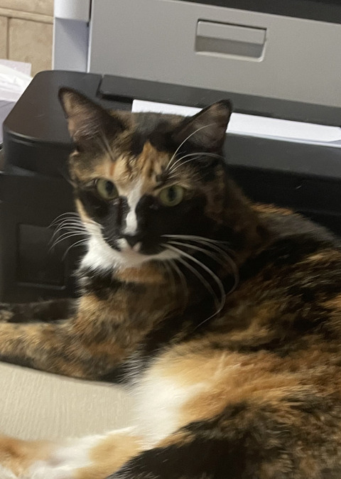 KakaoTalk_20240531_102430376