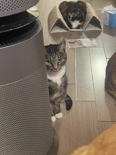 KakaoTalk_20250609_194121741_01