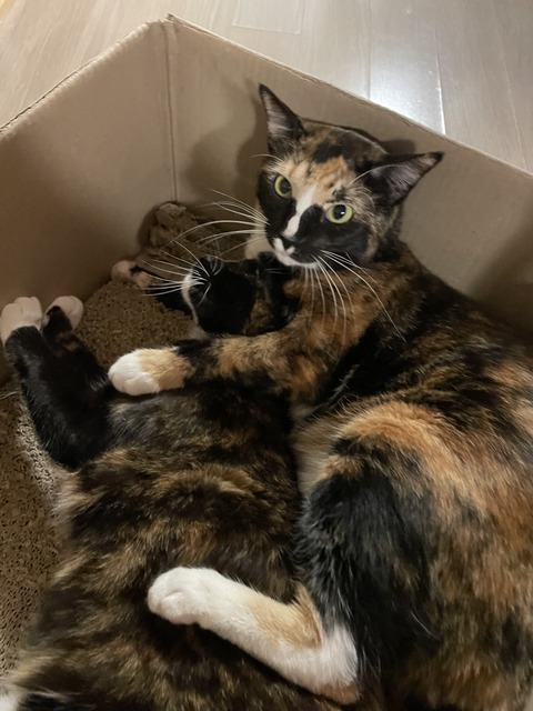 KakaoTalk_20230218_151017195