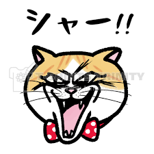 images (1)