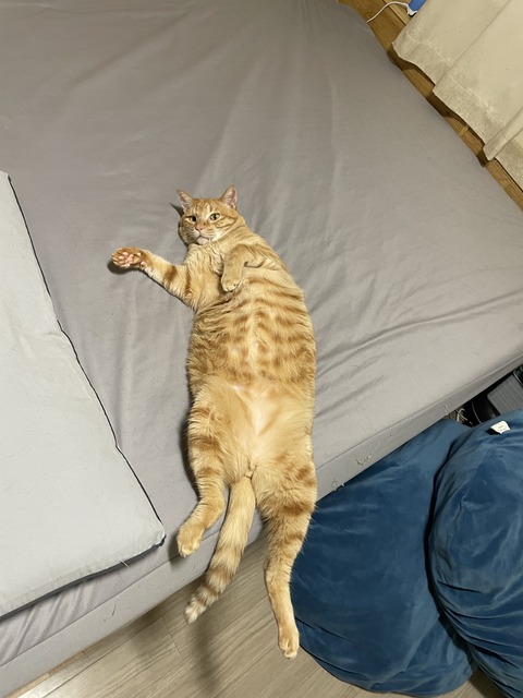 KakaoTalk_20240624_101552447_08