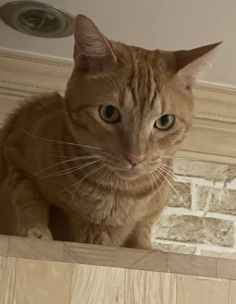 KakaoTalk_20250907_210103560