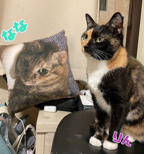 KakaoTalk_20250523_223823702