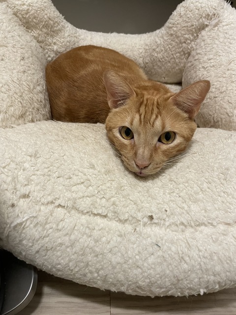 KakaoTalk_20231130_204908664_02