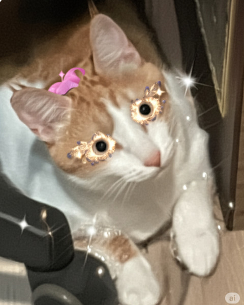 KakaoTalk_20250627_215336821_01