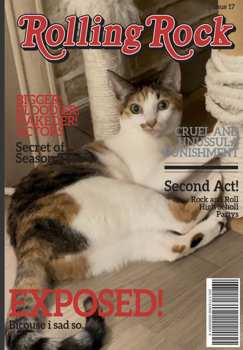 KakaoTalk_20240816_112351163_01