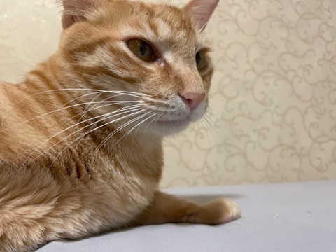 KakaoTalk_20220228_114455714_04