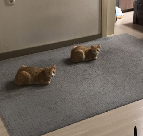 KakaoTalk_20210128_180424563