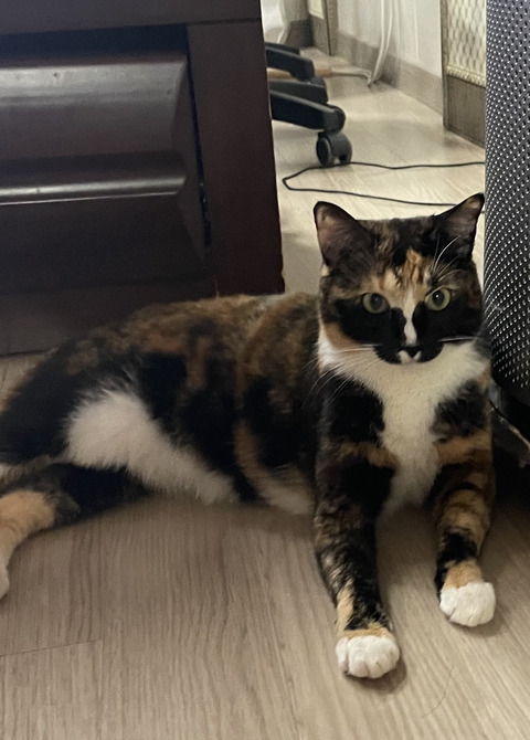 KakaoTalk_20230218_151453193