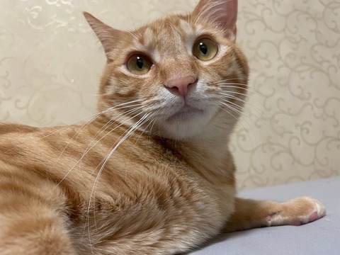 KakaoTalk_20220228_114455714