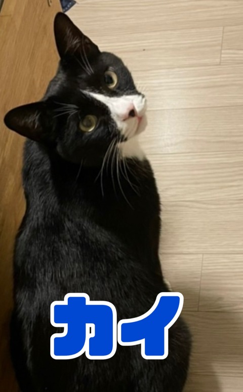KakaoTalk_20221114_135217180_01