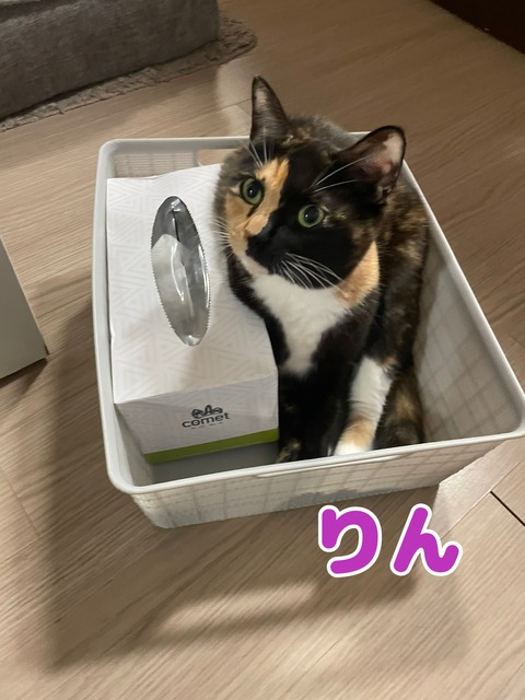 KakaoTalk_20231223_114945836