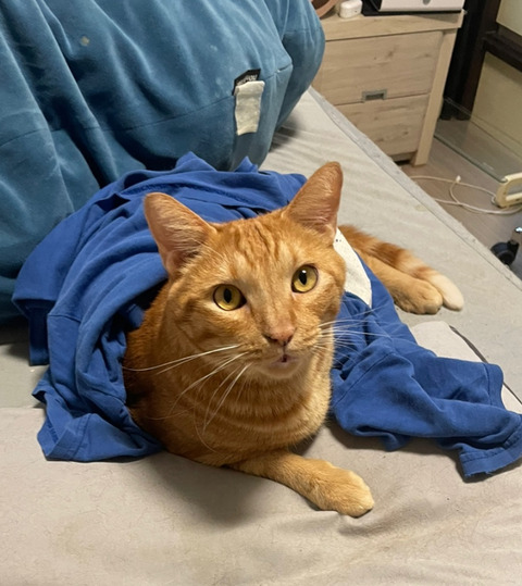 KakaoTalk_20250817_112451495_01