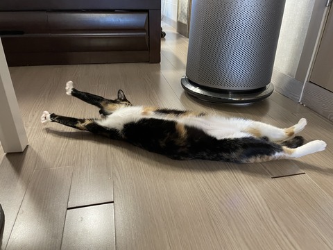 KakaoTalk_20230520_170658345