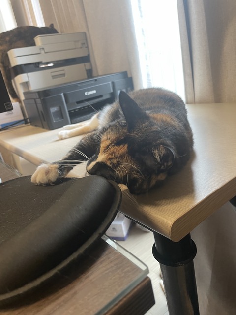 KakaoTalk_20240621_095243911_13