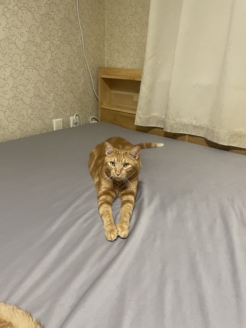 KakaoTalk_20240923_095357412_11