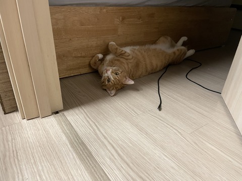 KakaoTalk_20220409_095328667