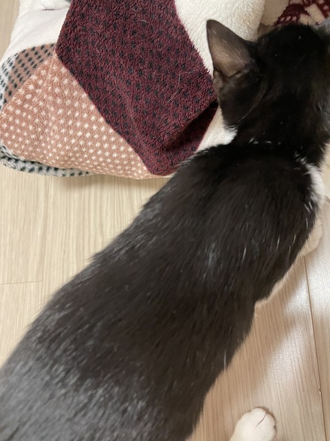 KakaoTalk_20201114_105803743