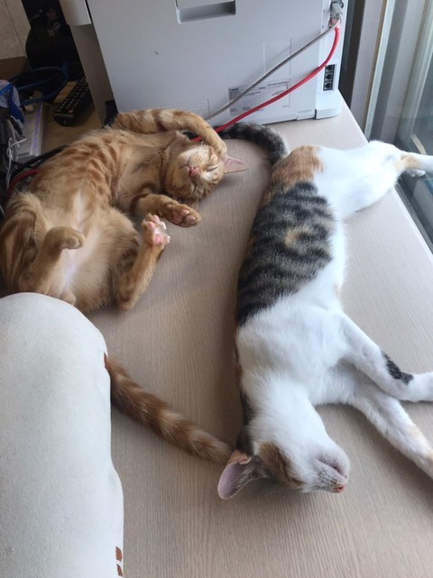 KakaoTalk_20200925_105705542_04