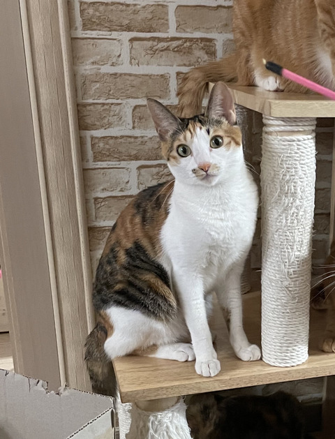 KakaoTalk_20220224_100330827_01