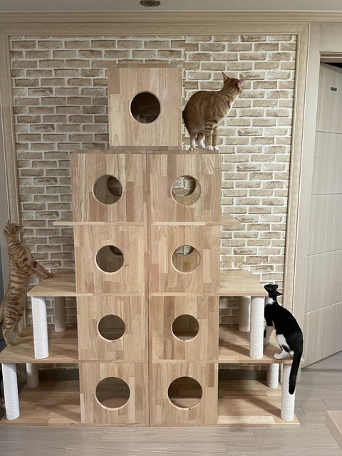 KakaoTalk_20210107_094019209_01