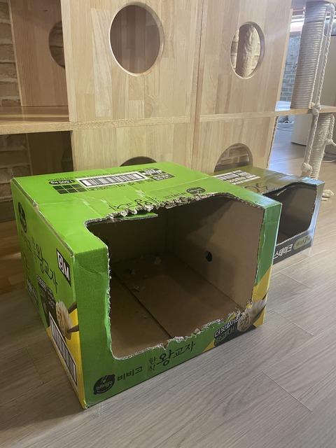 KakaoTalk_20240614_095931438