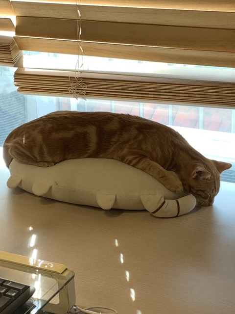 KakaoTalk_20201111_174704450_15
