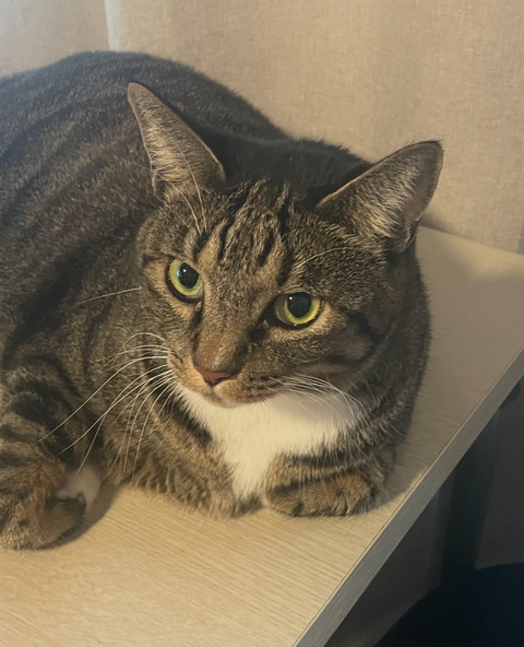 KakaoTalk_20250720_143210793_01