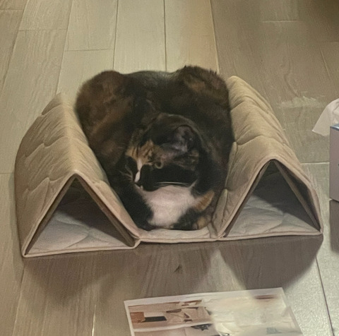 KakaoTalk_20250609_190347176