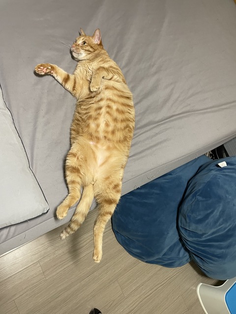 KakaoTalk_20240624_101552447_07