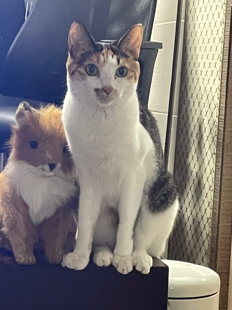 KakaoTalk_20240621_095332747_16