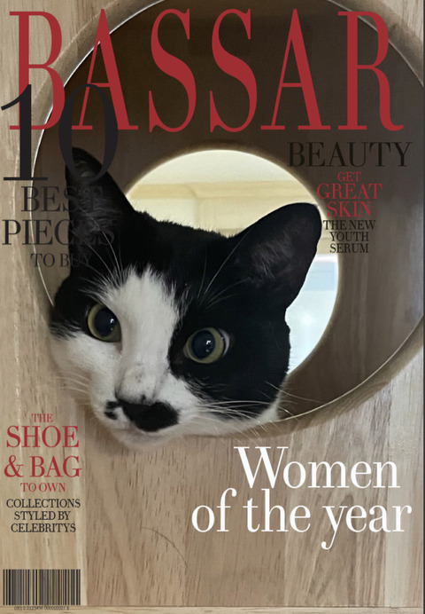 KakaoTalk_20240816_113747336