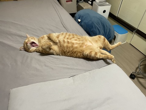 KakaoTalk_20240624_101552447_13