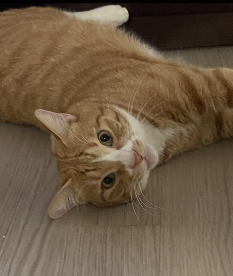 KakaoTalk_20241017_122931361