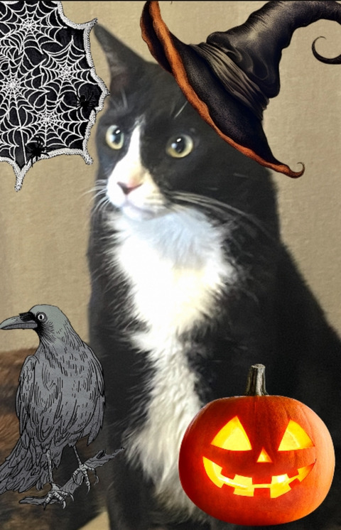 KakaoTalk_20250928_194617664