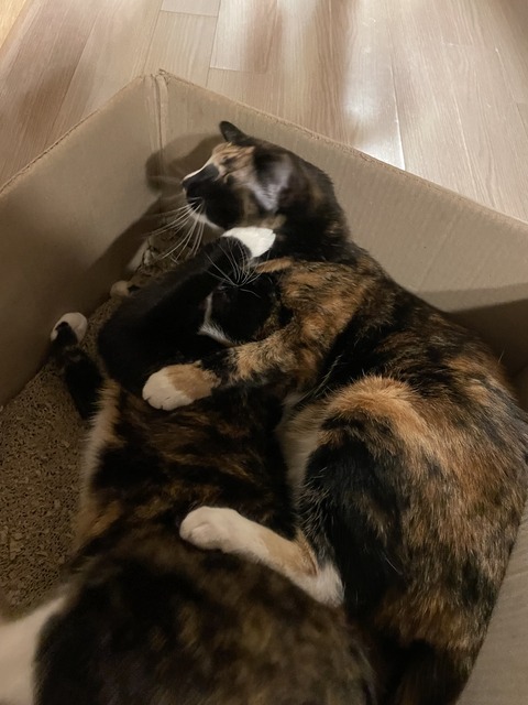 KakaoTalk_20230218_151016938