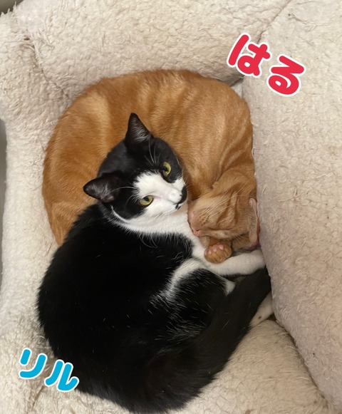 KakaoTalk_20240104_114851235