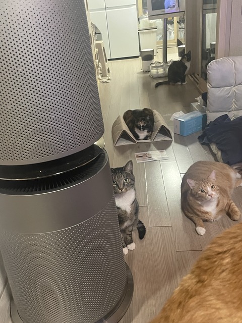 KakaoTalk_20250609_194121741_03