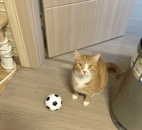 KakaoTalk_20250727_211015389_02