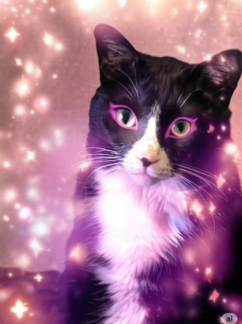 KakaoTalk_20250627_215336821_06