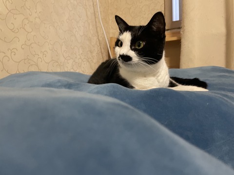 KakaoTalk_20241017_112850767_13