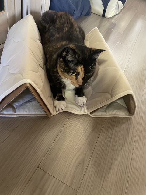 KakaoTalk_20250609_185734204_06