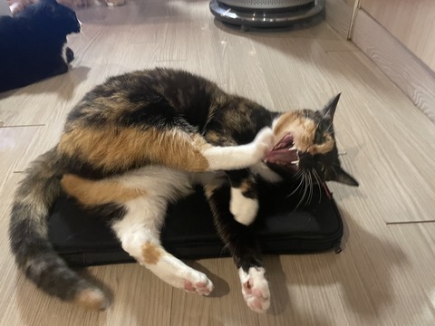 KakaoTalk_20250623_192932703_07