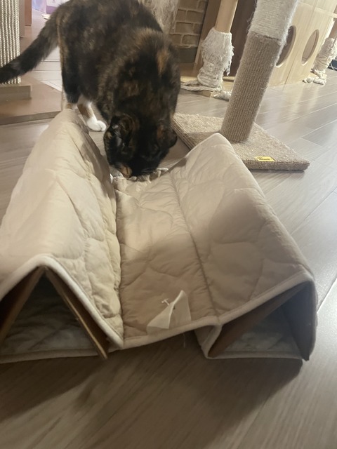 KakaoTalk_20250609_185734204_02