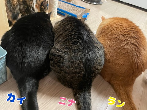 KakaoTalk_20240104_103320227